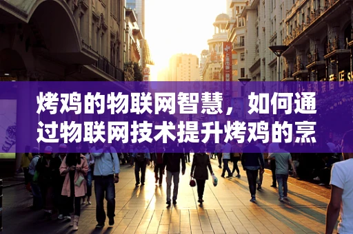 烤鸡的物联网智慧，如何通过物联网技术提升烤鸡的烹饪效率与品质？