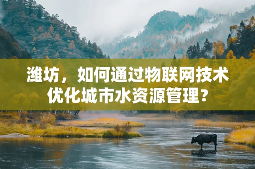 潍坊，如何通过物联网技术优化城市水资源管理？