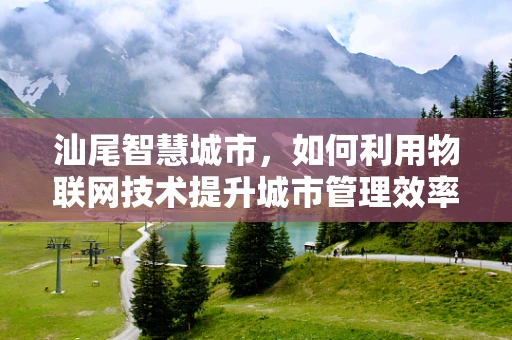 汕尾智慧城市，如何利用物联网技术提升城市管理效率？