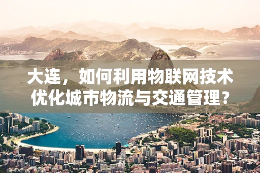 大连，如何利用物联网技术优化城市物流与交通管理？