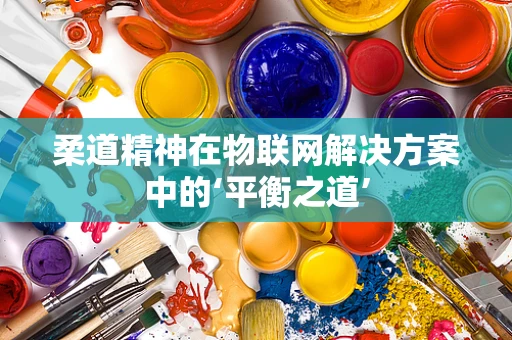 柔道精神在物联网解决方案中的‘平衡之道’