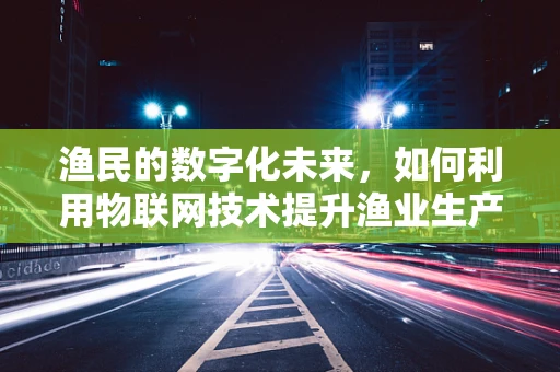 渔民的数字化未来，如何利用物联网技术提升渔业生产效率？