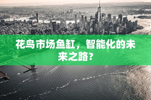 花鸟市场鱼缸，智能化的未来之路？