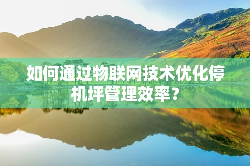 如何通过物联网技术优化停机坪管理效率？