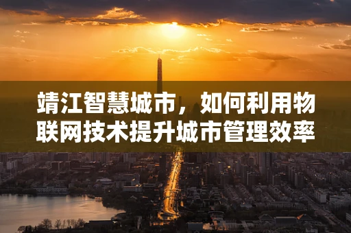 靖江智慧城市，如何利用物联网技术提升城市管理效率？
