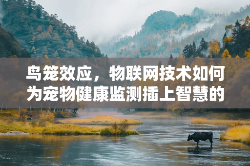 鸟笼效应，物联网技术如何为宠物健康监测插上智慧的翅膀？