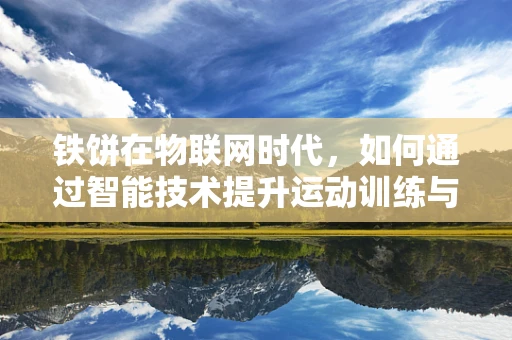 铁饼在物联网时代，如何通过智能技术提升运动训练与监测的精准性？