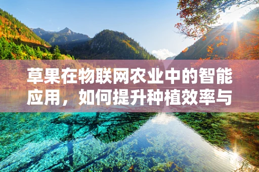 草果在物联网农业中的智能应用，如何提升种植效率与品质？