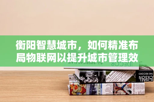 衡阳智慧城市，如何精准布局物联网以提升城市管理效率？