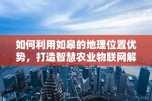 如何利用如皋的地理位置优势，打造智慧农业物联网解决方案？
