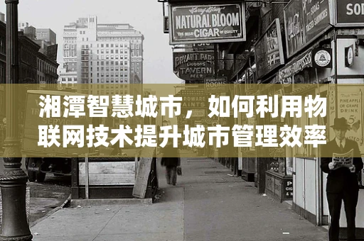 湘潭智慧城市，如何利用物联网技术提升城市管理效率？