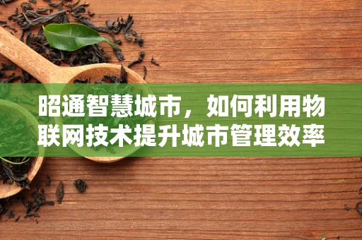 昭通智慧城市，如何利用物联网技术提升城市管理效率？
