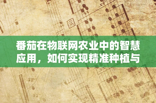 番茄在物联网农业中的智慧应用，如何实现精准种植与监控？