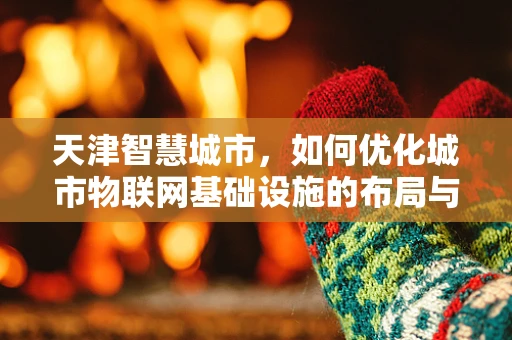 天津智慧城市，如何优化城市物联网基础设施的布局与维护？