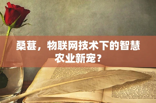 桑葚，物联网技术下的智慧农业新宠？