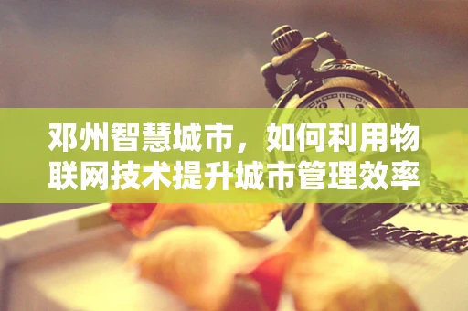 邓州智慧城市，如何利用物联网技术提升城市管理效率？
