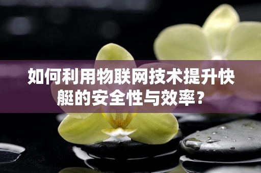 如何利用物联网技术提升快艇的安全性与效率？