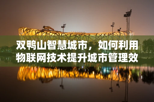 双鸭山智慧城市，如何利用物联网技术提升城市管理效率？