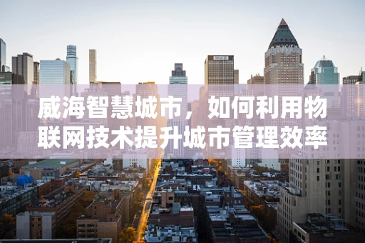 威海智慧城市，如何利用物联网技术提升城市管理效率？