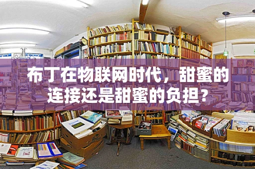 布丁在物联网时代，甜蜜的连接还是甜蜜的负担？