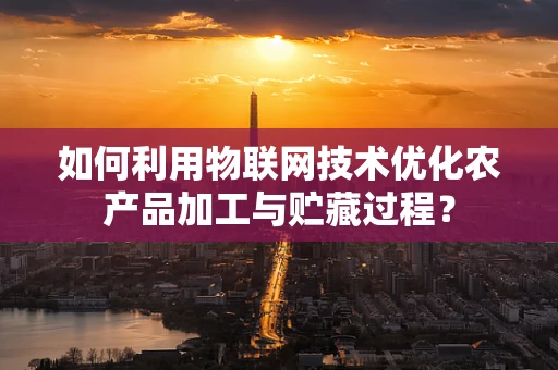 如何利用物联网技术优化农产品加工与贮藏过程？