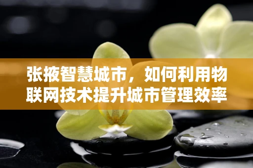 张掖智慧城市，如何利用物联网技术提升城市管理效率？
