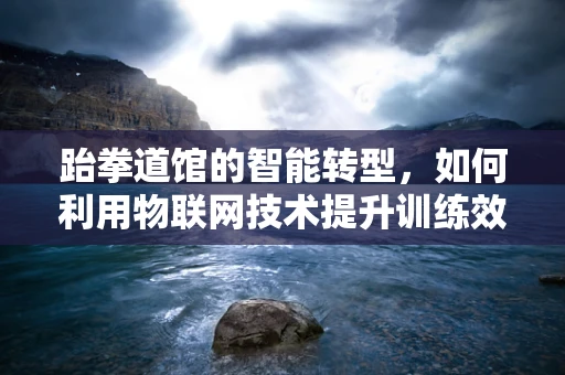 跆拳道馆的智能转型，如何利用物联网技术提升训练效率与安全？