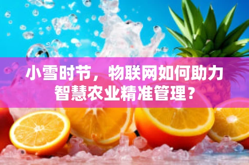小雪时节，物联网如何助力智慧农业精准管理？