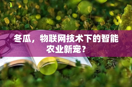 冬瓜，物联网技术下的智能农业新宠？