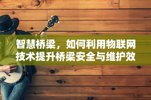智慧桥梁，如何利用物联网技术提升桥梁安全与维护效率？