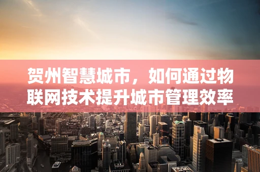 贺州智慧城市，如何通过物联网技术提升城市管理效率？
