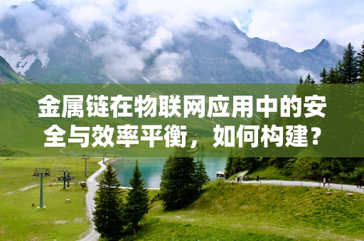 金属链在物联网应用中的安全与效率平衡，如何构建？