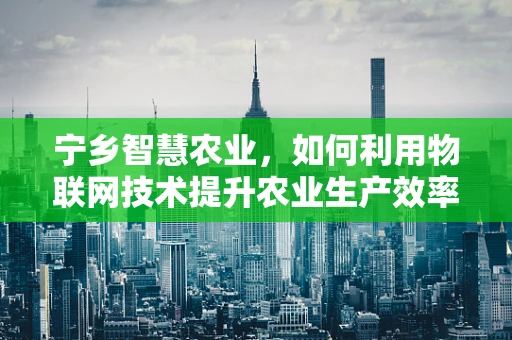 宁乡智慧农业，如何利用物联网技术提升农业生产效率？