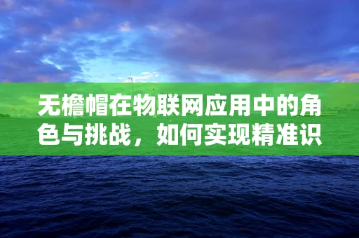 无檐帽在物联网应用中的角色与挑战，如何实现精准识别与数据收集？