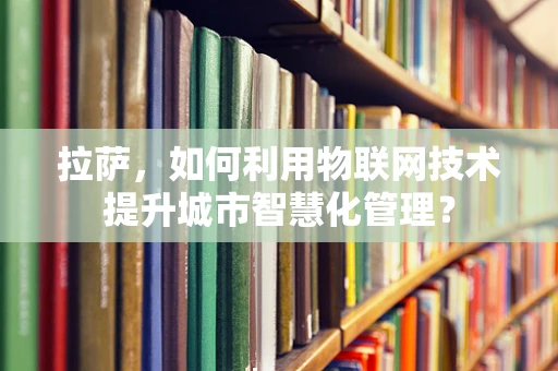 拉萨，如何利用物联网技术提升城市智慧化管理？