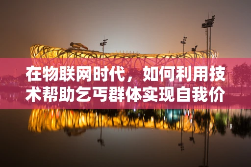 在物联网时代，如何利用技术帮助乞丐群体实现自我价值？