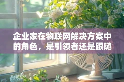 企业家在物联网解决方案中的角色，是引领者还是跟随者？