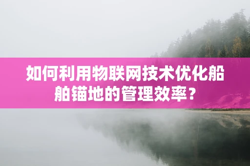 如何利用物联网技术优化船舶锚地的管理效率？