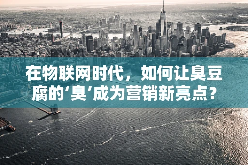 在物联网时代，如何让臭豆腐的‘臭’成为营销新亮点？
