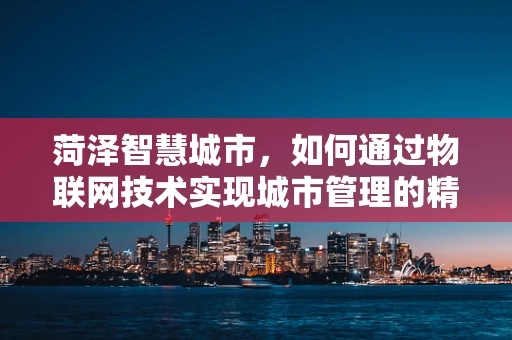 菏泽智慧城市，如何通过物联网技术实现城市管理的精细化？