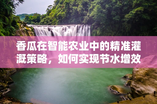 香瓜在智能农业中的精准灌溉策略，如何实现节水增效？