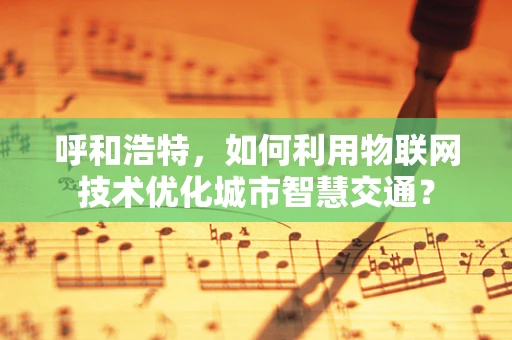 呼和浩特，如何利用物联网技术优化城市智慧交通？