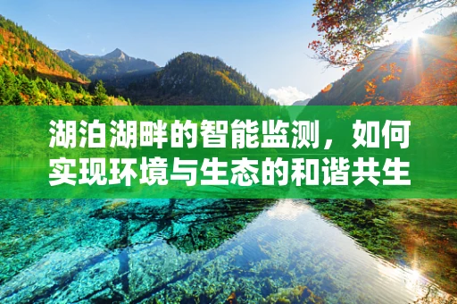 湖泊湖畔的智能监测，如何实现环境与生态的和谐共生？