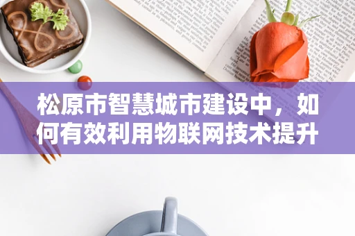 松原市智慧城市建设中，如何有效利用物联网技术提升城市管理效率？