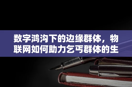 数字鸿沟下的边缘群体，物联网如何助力乞丐群体的生活改善？