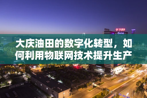 大庆油田的数字化转型，如何利用物联网技术提升生产效率与能源管理？