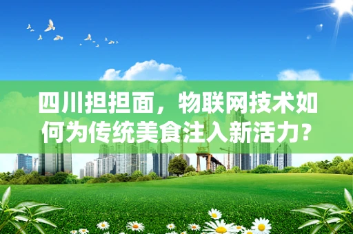 四川担担面，物联网技术如何为传统美食注入新活力？