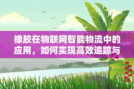 橡胶在物联网智能物流中的应用，如何实现高效追踪与监控？