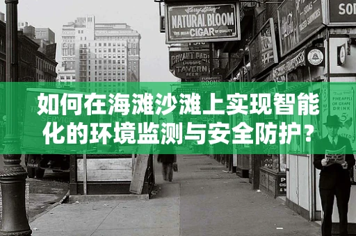 如何在海滩沙滩上实现智能化的环境监测与安全防护？