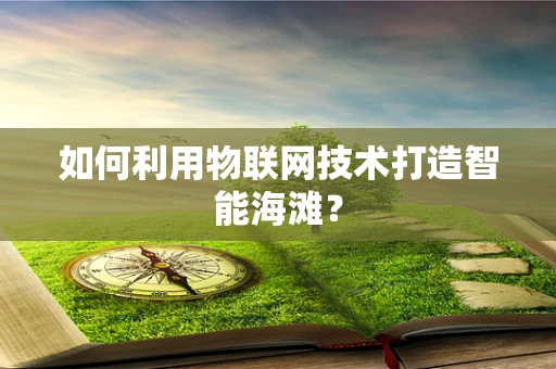 如何利用物联网技术打造智能海滩？